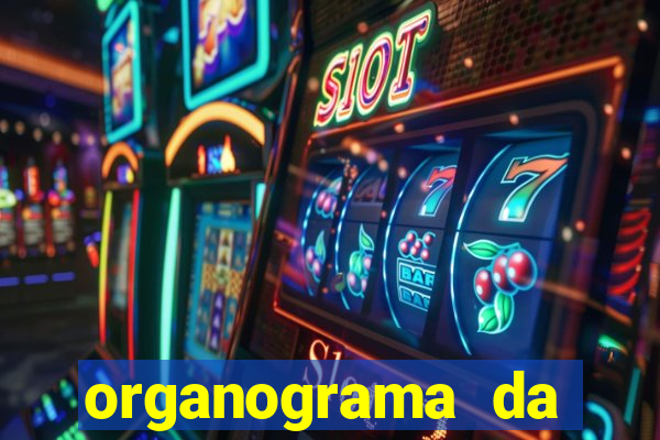 organograma da cacau show